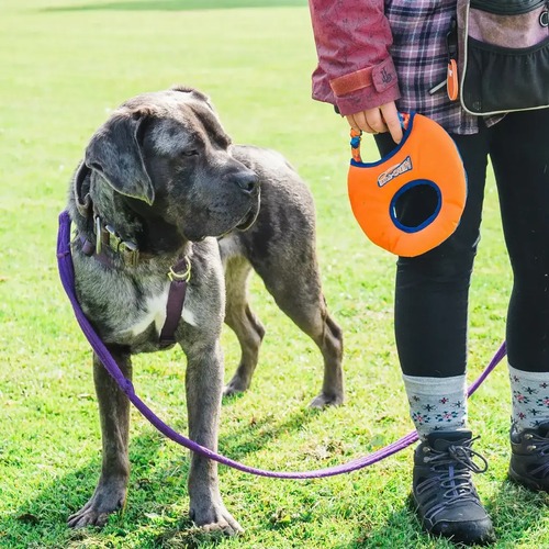 Aero-Tug Hondenfrisbee | Zacht, Drijvend en met Bungee 8 Aero-Tug hondenfrisbee wordt tijdens een wandeling meegedragen naast een hond aan de lijn