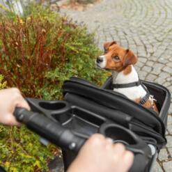 Trixie Hondenbuggy 3 Wielen | Honden tot 11 kg 27 Jack Russell kijkt uit de hondenbuggy, gezien vanaf de duwstang met bekerhouders