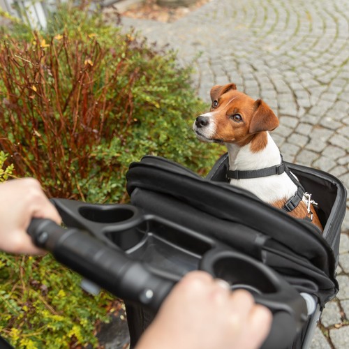 Trixie Hondenbuggy 3 Wielen | Honden tot 11 kg 15 Jack Russell kijkt uit de hondenbuggy, gezien vanaf de duwstang met bekerhouders