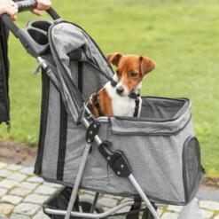 Vrouw wandelt met haar hond in de grijze hondenbuggy met 4 wielen in het park