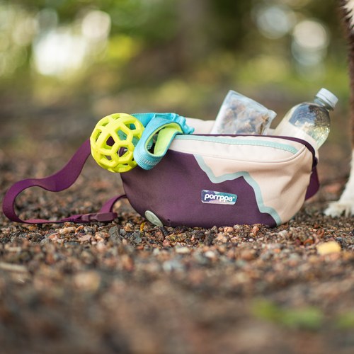 Pomppa Belt Bag Heuptas Hond 5 Pomppa Belt Bag Heuptas Hond - Afbeelding 4