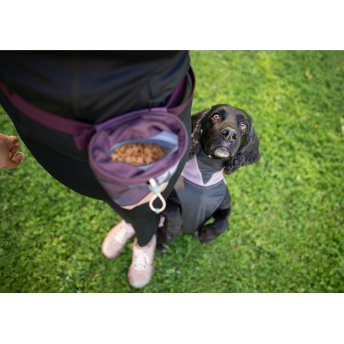 Pomppa Treat Bag Beloningstasje 8 Pomppa Treat Bag Beloningstasje - Afbeelding 6