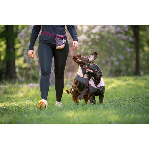Pomppa Treat Bag Beloningstasje 7 Pomppa Treat Bag Beloningstasje - Afbeelding 5