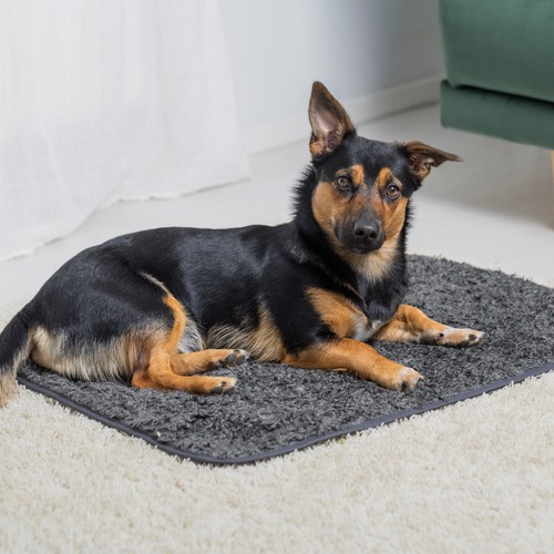 Pomppa Settle Mat | Professionele trainingsmat 3 Pomppa Settle Mat | Professionele trainingsmat - Afbeelding 2
