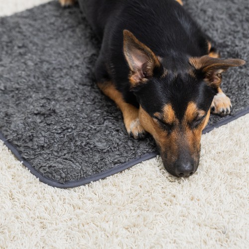 Pomppa Settle Mat | Professionele trainingsmat 4 Pomppa Settle Mat | Professionele trainingsmat - Afbeelding 3