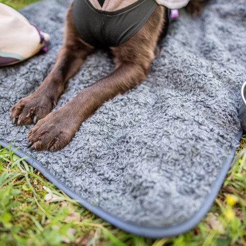 Pomppa Settle Mat | Professionele trainingsmat 10 Pomppa Settle Mat | Professionele trainingsmat - Afbeelding 9