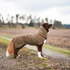 Zijaanzicht van een hond in de olijfgroene wollen hondenjas op een landweg