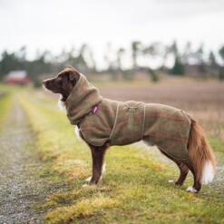 Hond staat stil op een zandpad in de wollen hondenjas in olijfgroen