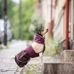 Pasvorm van de ArcticPomppa hondenjas bij een hond in beweging