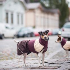 Hond draagt de ArcticPomppa hondenwinterjas op straat