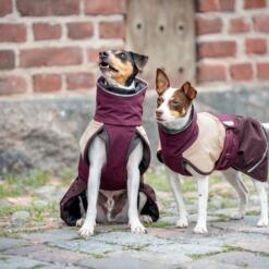Hoge kraag van de ArcticPomppa winterjas sluit hals en nek af