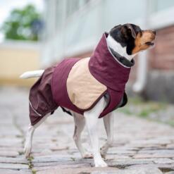 Hond in ArcticPomppa hondenjas, zijaanzicht met hoge kraag en verstelbare ruglengte