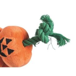 Close up van het groene katoenen flostouw met knoop aan de oranje pompoen