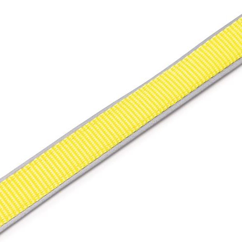 LED hondenriem Beeztees Parinca Premium | USB oplaadbaar 4 Reflecterende rand langs de nylon hondenriem