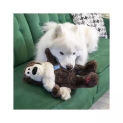 Alternative view of KONG Knots Wild Bear Jumbo: Stevige hondenknuffel met touw