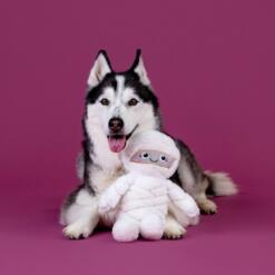 Mummieknuffel hondenspeelgoed pluche piepspeeltje 5 Husky speelt met mummieknuffel hondenspeelgoed