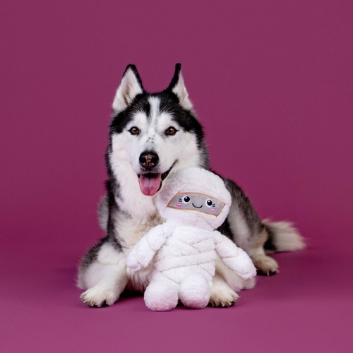 Mummieknuffel hondenspeelgoed pluche piepspeeltje 4 Husky speelt met mummieknuffel hondenspeelgoed
