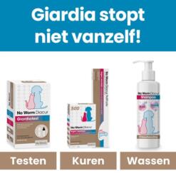 No Worm Diacur Chloorhexidine Shampoo hond 250 ml 12 Giardia aanpakken in drie stappen: testen, kuren en wassen met de shampoo