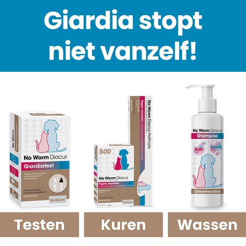 No Worm Diacur Chloorhexidine Shampoo hond 250 ml 7 Giardia aanpakken in drie stappen: testen, kuren en wassen met de shampoo