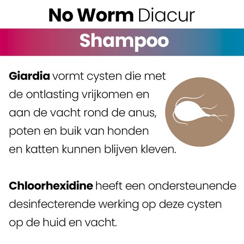 No Worm Diacur Chloorhexidine Shampoo hond 250 ml 4 Uitleg over Giardia-cysten in de vacht en de werking van chloorhexidine op huid en vacht