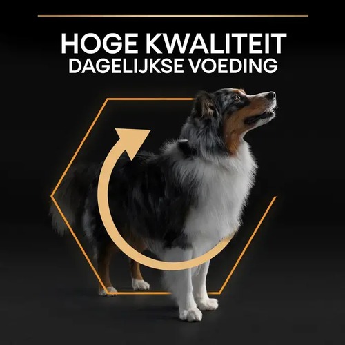 Pro Plan Medium Adult Everyday Nutrition Kip 4 Hond bij Pro Plan hondenvoer, hoge kwaliteit voeding voor dagelijkse gezondheid