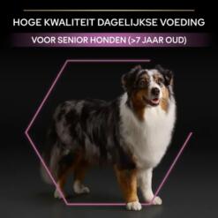 Pro Plan seniorvoer info: hoge kwaliteit dagelijkse voeding voor senior honden vanaf 7 jaar