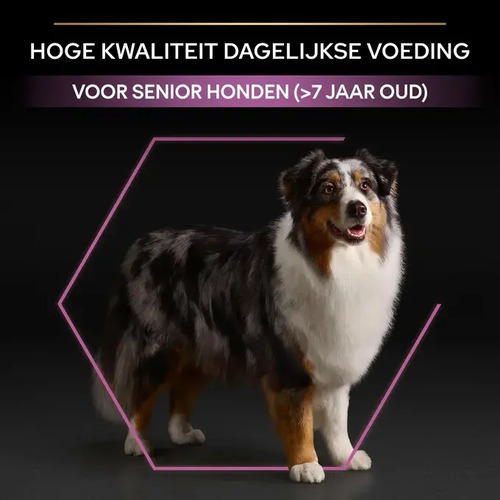 Pro Plan Seniorvoer Kip | Medium & Large Hond 7+ 3 Pro Plan seniorvoer info: hoge kwaliteit dagelijkse voeding voor senior honden vanaf 7 jaar