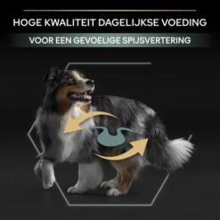 Pro Plan Sensitive Digestion: hoge kwaliteit dagelijkse voeding voor een gevoelige spijsvertering