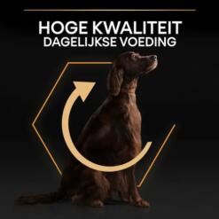Pro Plan Large Athletic Adult, hoge kwaliteit dagelijkse voeding voor grote honden