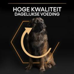 Grote hond met stevig postuur, hoge kwaliteit dagelijkse voeding van Pro Plan