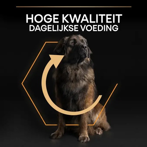 Pro Plan Large Robust Adult Kip 14 kg 4 Grote hond met stevig postuur, hoge kwaliteit dagelijkse voeding van Pro Plan