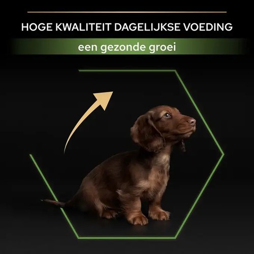 Puppyvoer Pro Plan Small & Mini Kip 3 kg 4 Puppy van een klein ras bij het Pro Plan logo voor gezonde groei, puppyvoer met colostrum