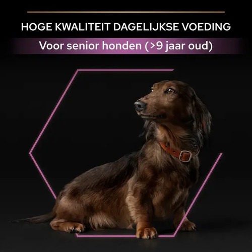 Senior Hondenvoer Pro Plan met Kip 3kg 4 Oudere kleine hond geschikt voor senior hondenvoer vanaf 9 jaar