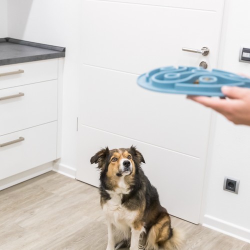 Voedermat hond Trixie Slowfeeder 28 cm 9 Baasje biedt de voedermat aan een hond aan