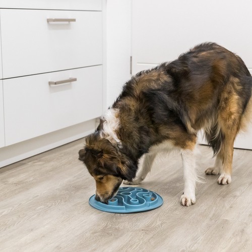 Voedermat hond Trixie Slowfeeder 28 cm 10 Hond eet langzaam uit de voedermat op de vloer