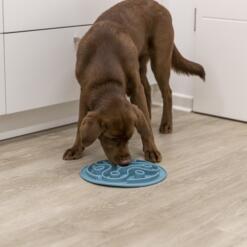 Voedermat hond Trixie Slowfeeder 28 cm 20 Puppy eet brokjes uit de voedermat