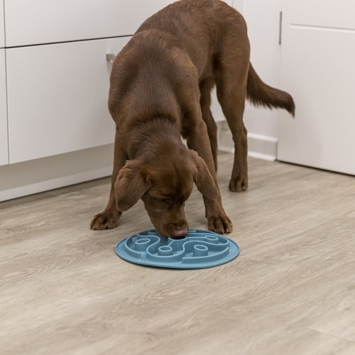 Voedermat hond Trixie Slowfeeder 28 cm 11 Puppy eet brokjes uit de voedermat