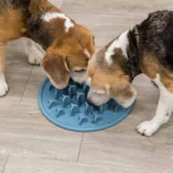 Twee honden eten samen uit de voedermat Pillars