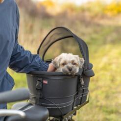 Kleine hond zit in de hondenfietsmand achterop de fiets
