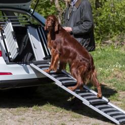 Trixie uitschuifbare loopplank telescoop 78 tot 175 cm 25 Hond loopt over de telescoop loopplank de kofferbak in