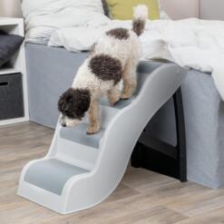 Hond loopt via de hondentrap rustig van het bed naar beneden