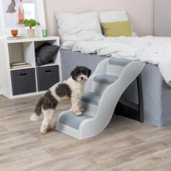 Hond stapt op de onderste trede van een trap tegen het bed