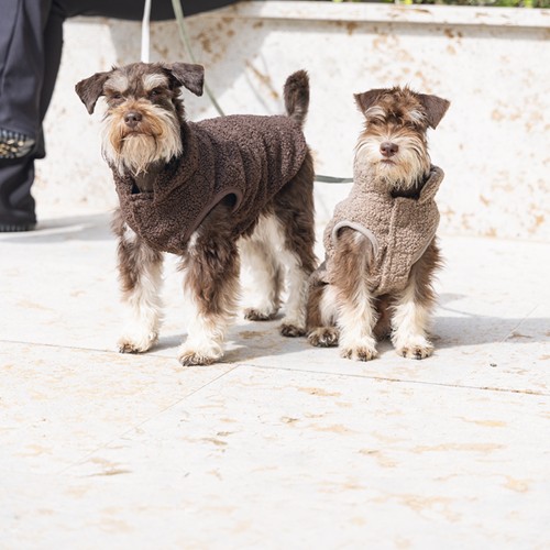 Bruine hondentrui Madeleine van Designed by Lotte 15 Twee honden op wandeling in de hondentrui Madeleine in bruin en taupe