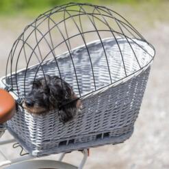 Kleine hond in de rieten fietsmand op de bagagedrager