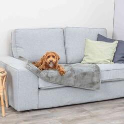 Bruine hond ligt op de grijze Levy hondendeken op de bank