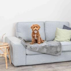 Hond zit op de Trixie Levy hondendeken die over de bankzitting ligt