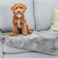 Hond zit op de waterdichte hondendeken Levy, close up op de bank